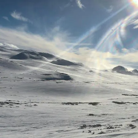 Rustic Log At The Foot Of Hardangervidda Uvdal